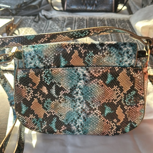 Brahmin - Picture 2 of 3